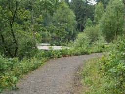 Image on trail